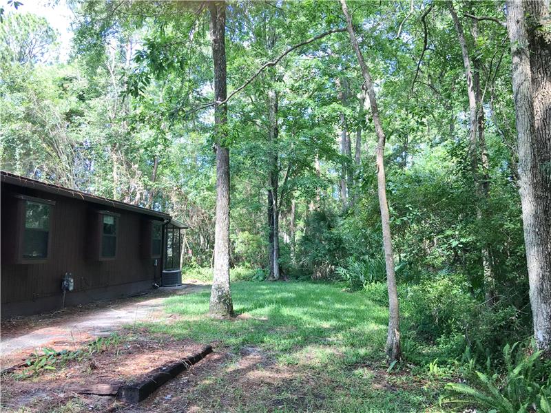 Side Yard
