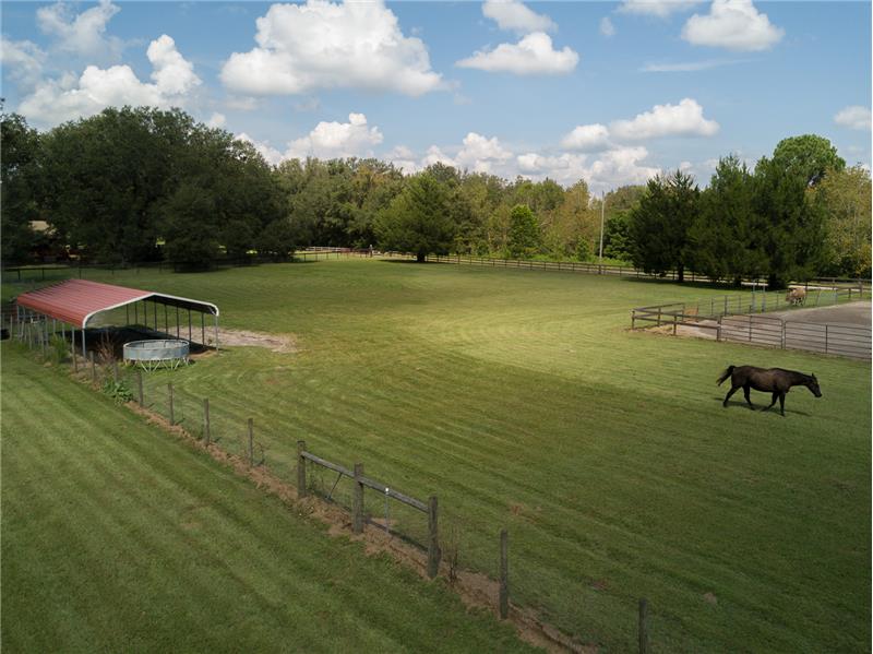 North Pasture