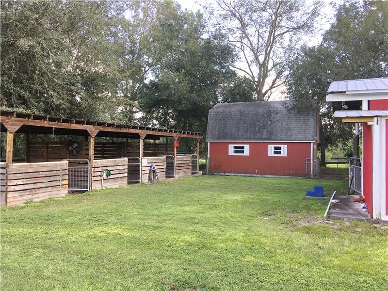 Paddock Area