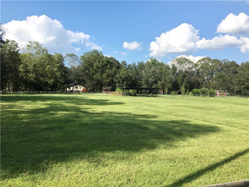 South Pasture