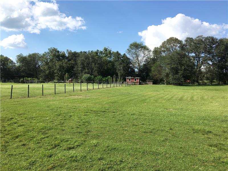 South Pasture Cross Fenced