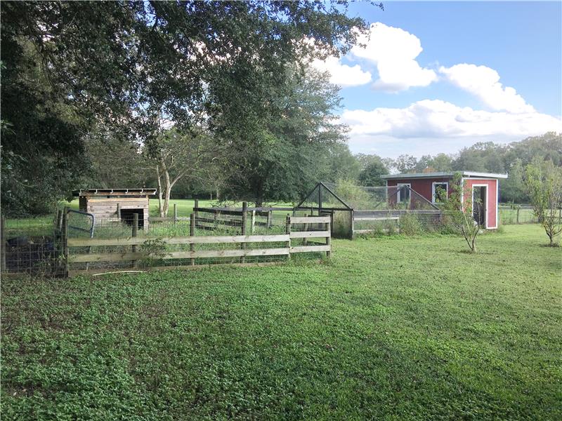 Chicken Coop and Pigsty