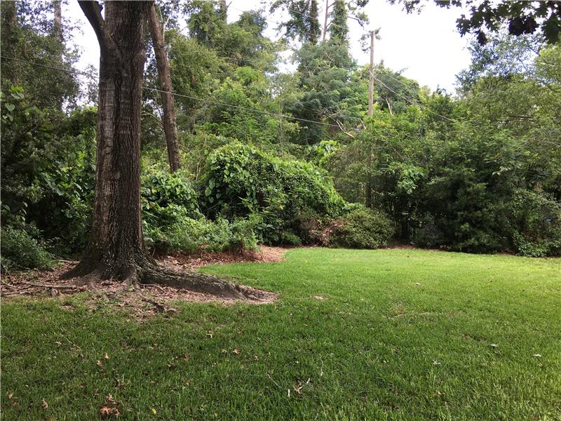 Large Landscaped Back Yard
