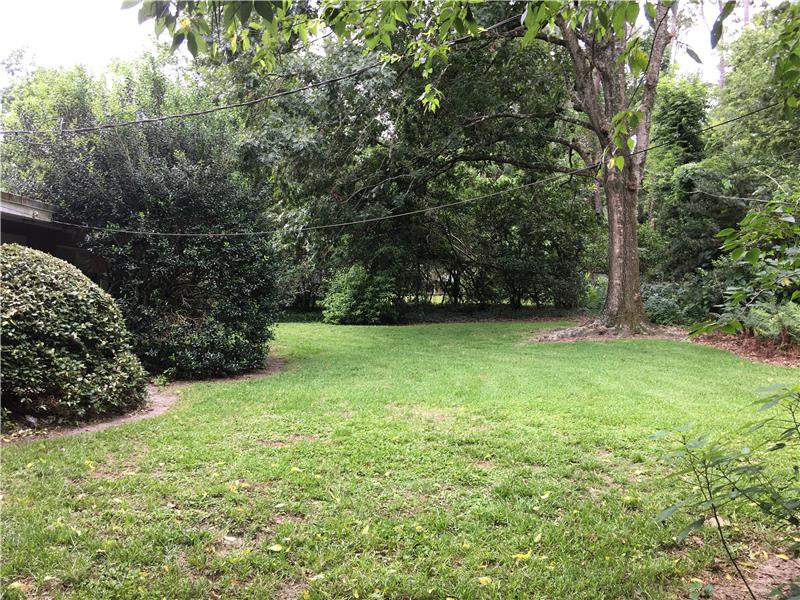 Back Yard