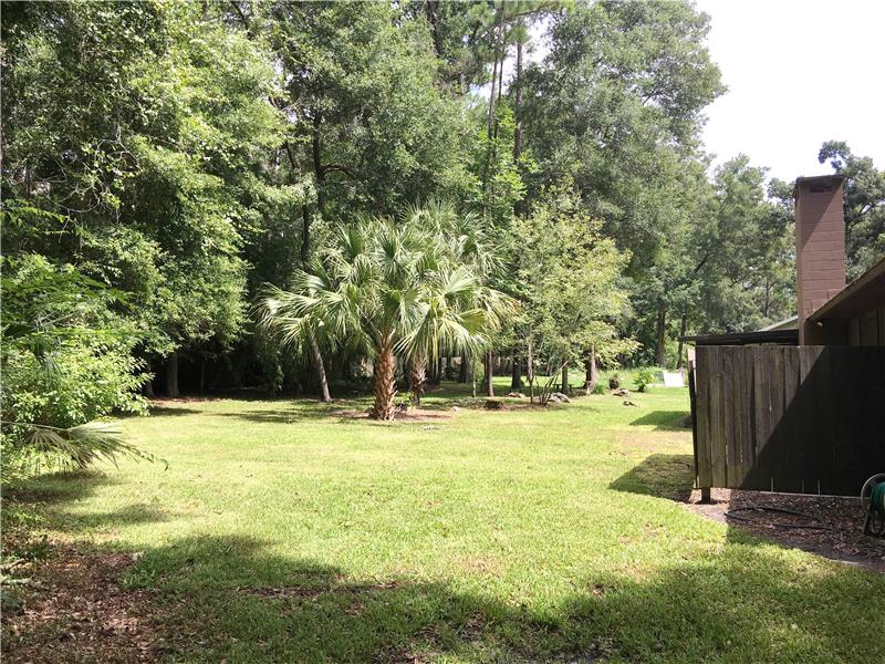 Large Back Yard