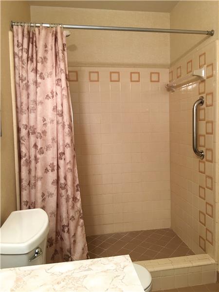 Master Bath Walk in Shower