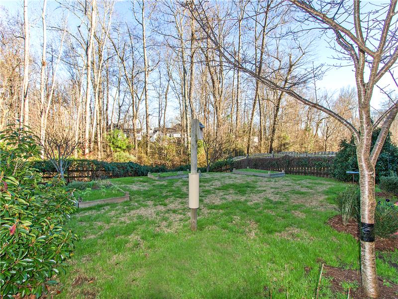 Wooded common area beyond fencing