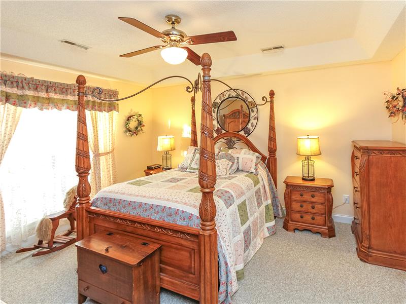Spacious master suite with tray ceiling