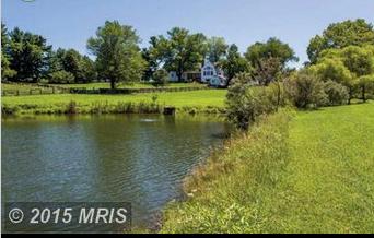 Primary listing photos for listing ID 408262