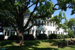 Primary listing photos for listing ID 419766