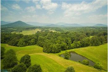 Primary listing photos for listing ID 420435