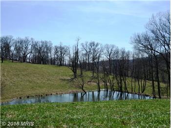 Primary listing photos for listing ID 443364