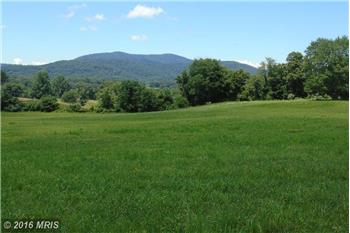 Primary listing photos for listing ID 443379