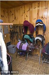 Primary listing photos for listing ID 443426