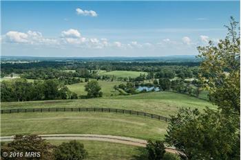 Primary listing photos for listing ID 443564