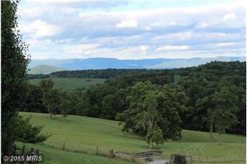 Primary listing photos for listing ID 443599