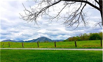 Primary listing photos for listing ID 443621