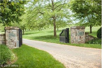 Primary listing photos for listing ID 443916