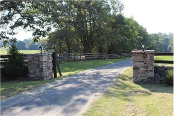 Primary listing photos for listing ID 443923