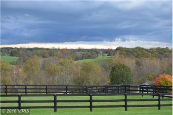 Primary listing photos for listing ID 444180