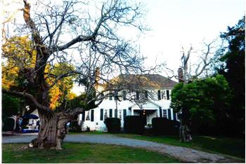 Primary listing photos for listing ID 444539