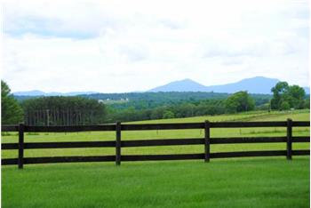 Primary listing photos for listing ID 445187