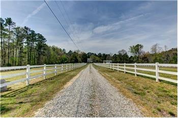 Primary listing photos for listing ID 445280