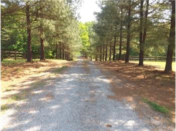 Primary listing photos for listing ID 445927