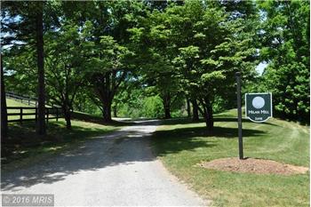 Primary listing photos for listing ID 446231