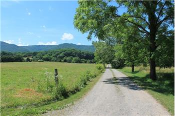 Primary listing photos for listing ID 446302