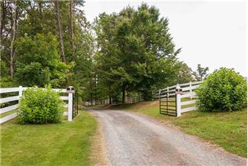 Primary listing photos for listing ID 446386