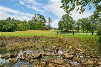 Primary listing photos for listing ID 446883