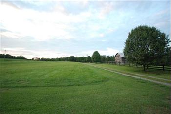 Primary listing photos for listing ID 447936