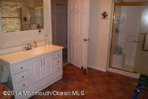 Large main bath with stall shower