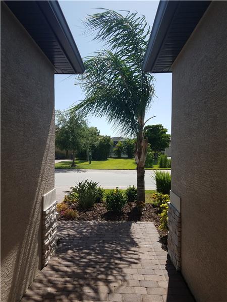 Looking out the front door