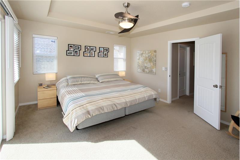 Master Bedroom with tray ceiling and ceiling fan