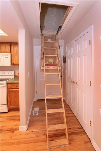 Pull-down attic ladder off of kitchen