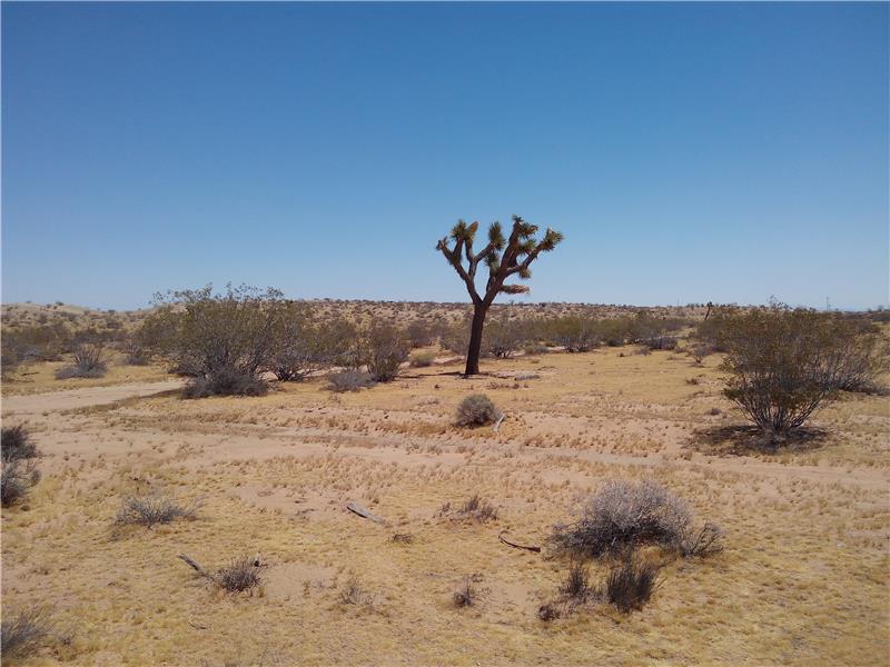 Looking East from NE Corner of Lot