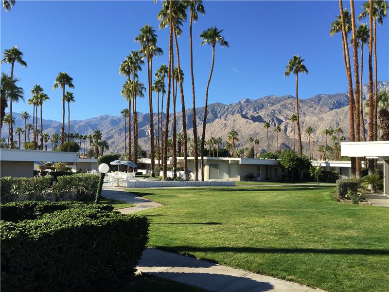 Gorgeous grounds at Firebird