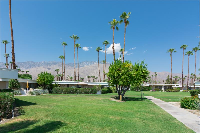 View From Dining room