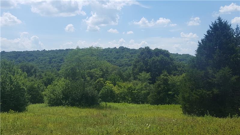 4 Acre tract at from of fields