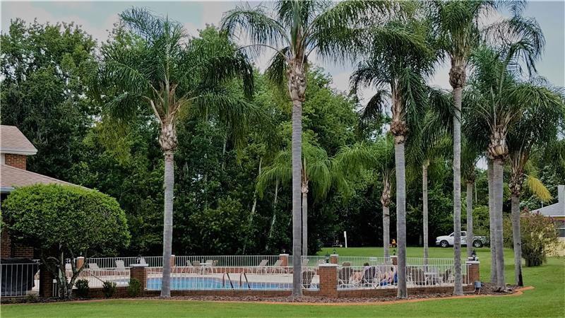 Heated Community Pool