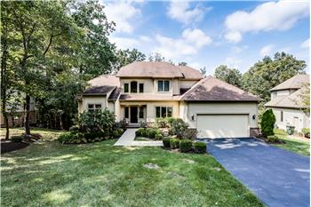 Primary listing photos for listing ID 451045