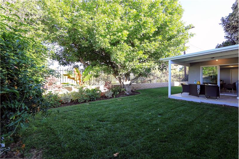 Lush Yard