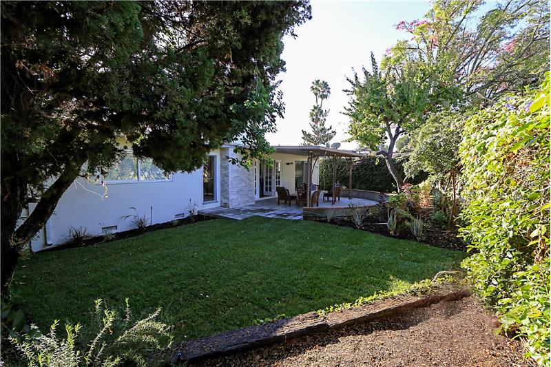 Lush Green Yard!