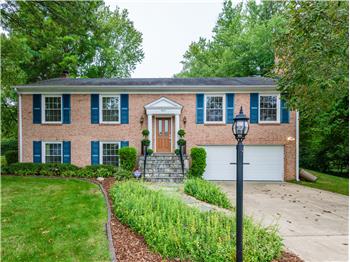 Singles in vienna maryland