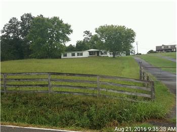 Primary listing photos for listing ID 450987