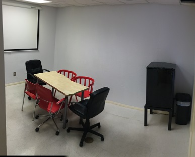 Conference Room or Large Exam Room #2 with sink and cabinets (not visible)