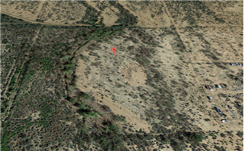 Primary listing photos for listing ID 471247