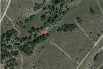 Primary listing photos for listing ID 491362